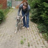 Foto van Baki