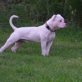 Zorran