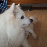 Foto van lilianne&toto