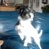 Foto van lilianne&toto