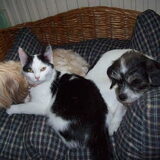 Foto van lilianne&toto