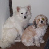 Foto van lilianne&toto