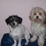 Foto van lilianne&toto