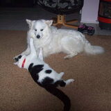 Foto van lilianne&toto