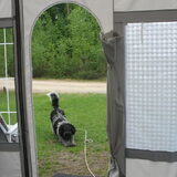 Op de camping!