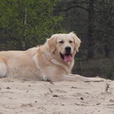 Foto van Janneke