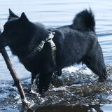 Joep is een echte waterrat