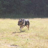 Foto van Claudia & Tank