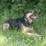 Foto van Claudia & Tank
