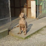 Foto van Tamara