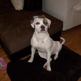 Kanjer he!!Schat is het