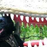 Joep in de dierentuin