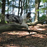 en............actie