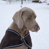 Foto van Tamara