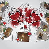 kenshi
