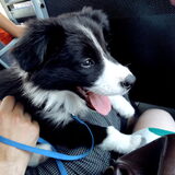 Hero in de bus