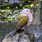 Foto van Eef en Tjibbe