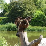 Foto van Eef en Tjibbe