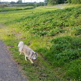 lekker wandelen