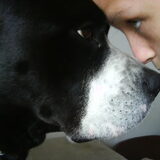Foto van Melissa---Rocco&Lady