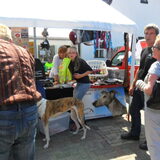 stand van ginn
