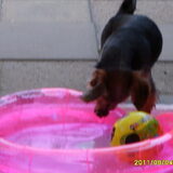 Foto van gerrie en droopy