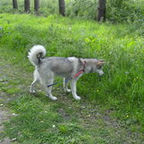 Foto van Vicky