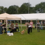 Foto van Criz & de Shelties