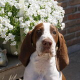 Foto van Tamara