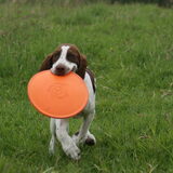 1 van mijn lievelingsspeeltjes "de frisbee"