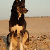 Mara op het strand - 2011