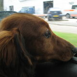 wil alles weten en zien