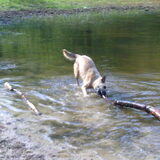 Lekker in het water spelen.