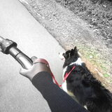 fietsen
