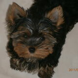 Knap koppie!