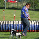 Foto van Floor Arensman