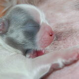 I am so in love!