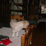 Foto van MaSpi///