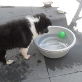 Kennismaking met water, dit vond ze erg leuk!