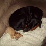 samen een nappie doen in de bank