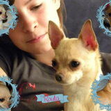Foto van MaSpi///