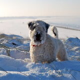 kerstvakantei 2010