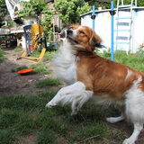 eerste foto's met mijn canon 500D