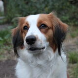 eerste foto's met mijn canon 500D