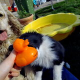 Foto van Nikki & Hero