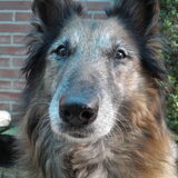 Ons fotomodelletje *In Heaven*