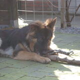 Foto van Marjo en Kiba