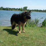 Foto van Marjo en Kiba
