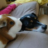 Maya en Japie!