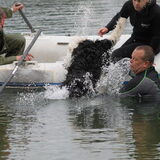 waterwerk